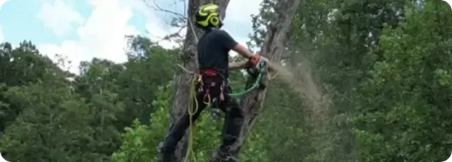 Our Commitment to You